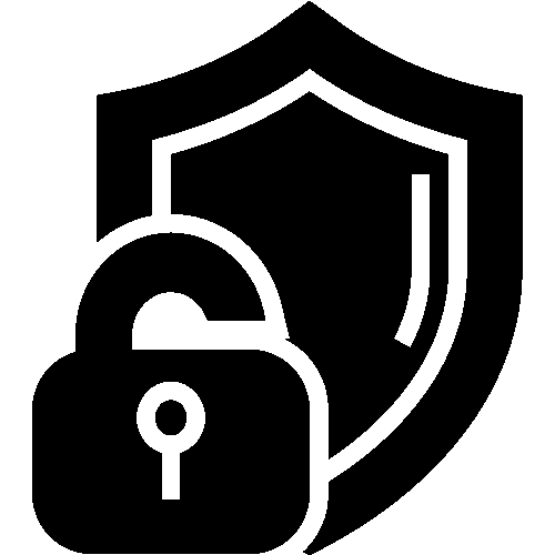 Cyber Security Shield